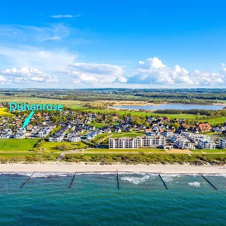 Duenenrose Wolkenlos