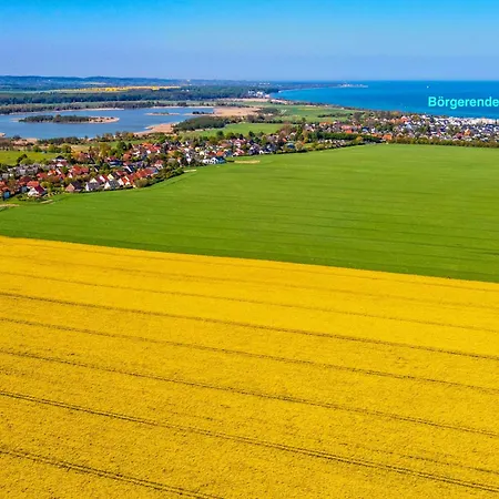 Duenenrose Wolkenlos *